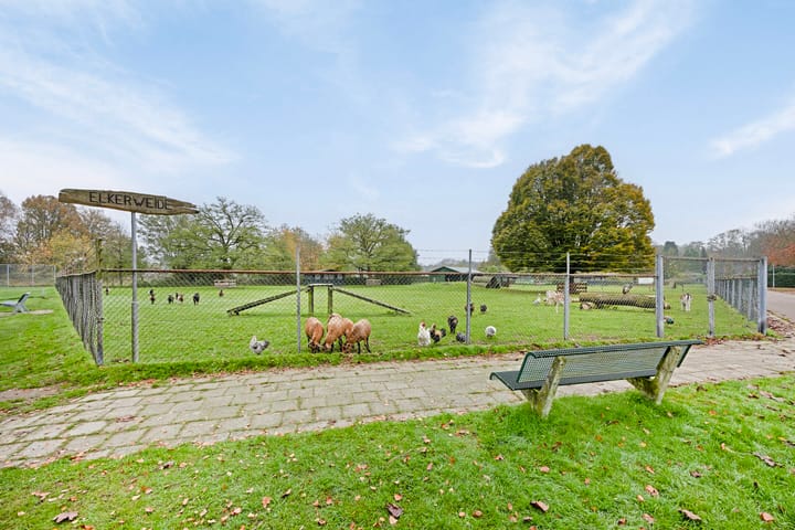 Foto 53 van Eliasstraat 9