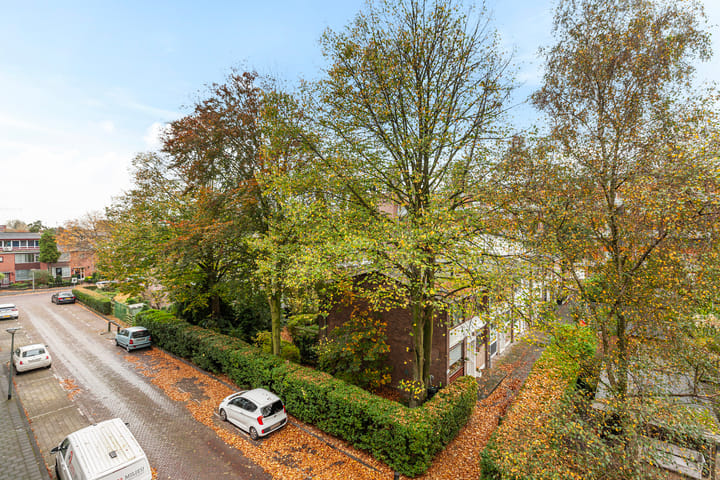 Foto 25 van van der Werffstraat 356