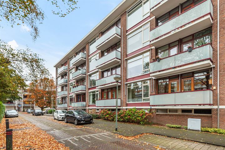 Bekijk foto 32 van van der Werffstraat 356