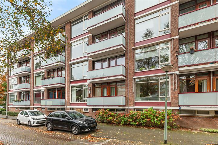 Bekijk foto 33 van van der Werffstraat 356