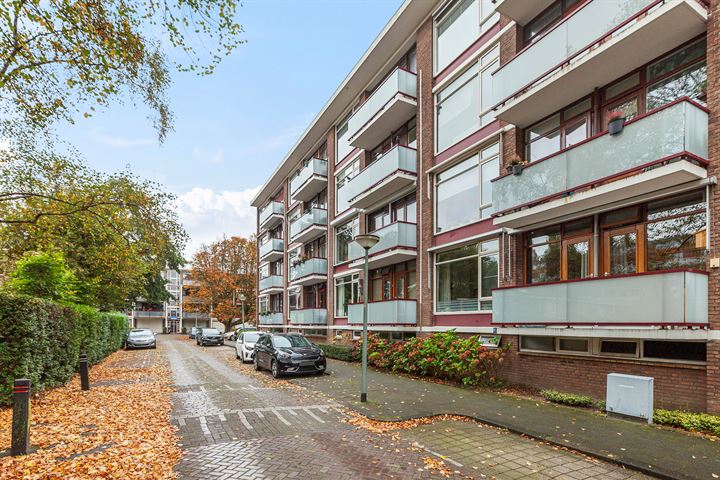 Bekijk foto 31 van van der Werffstraat 356