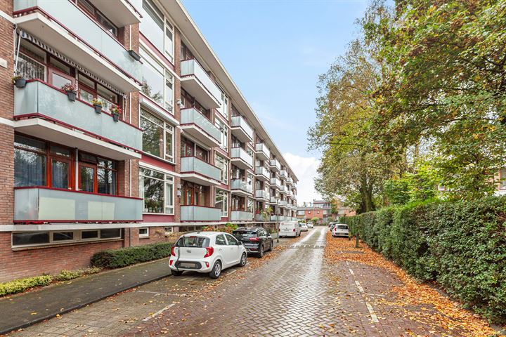 Bekijk foto 34 van van der Werffstraat 356