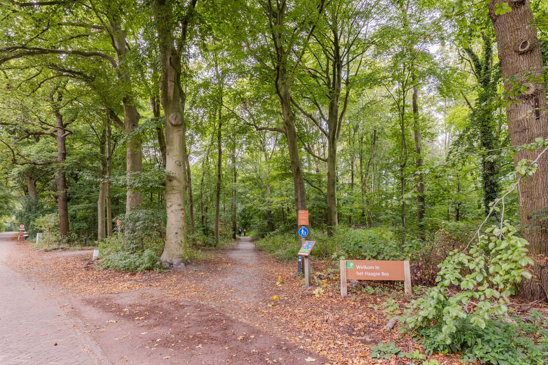 Foto 22 van Leidsestraatweg 15-322