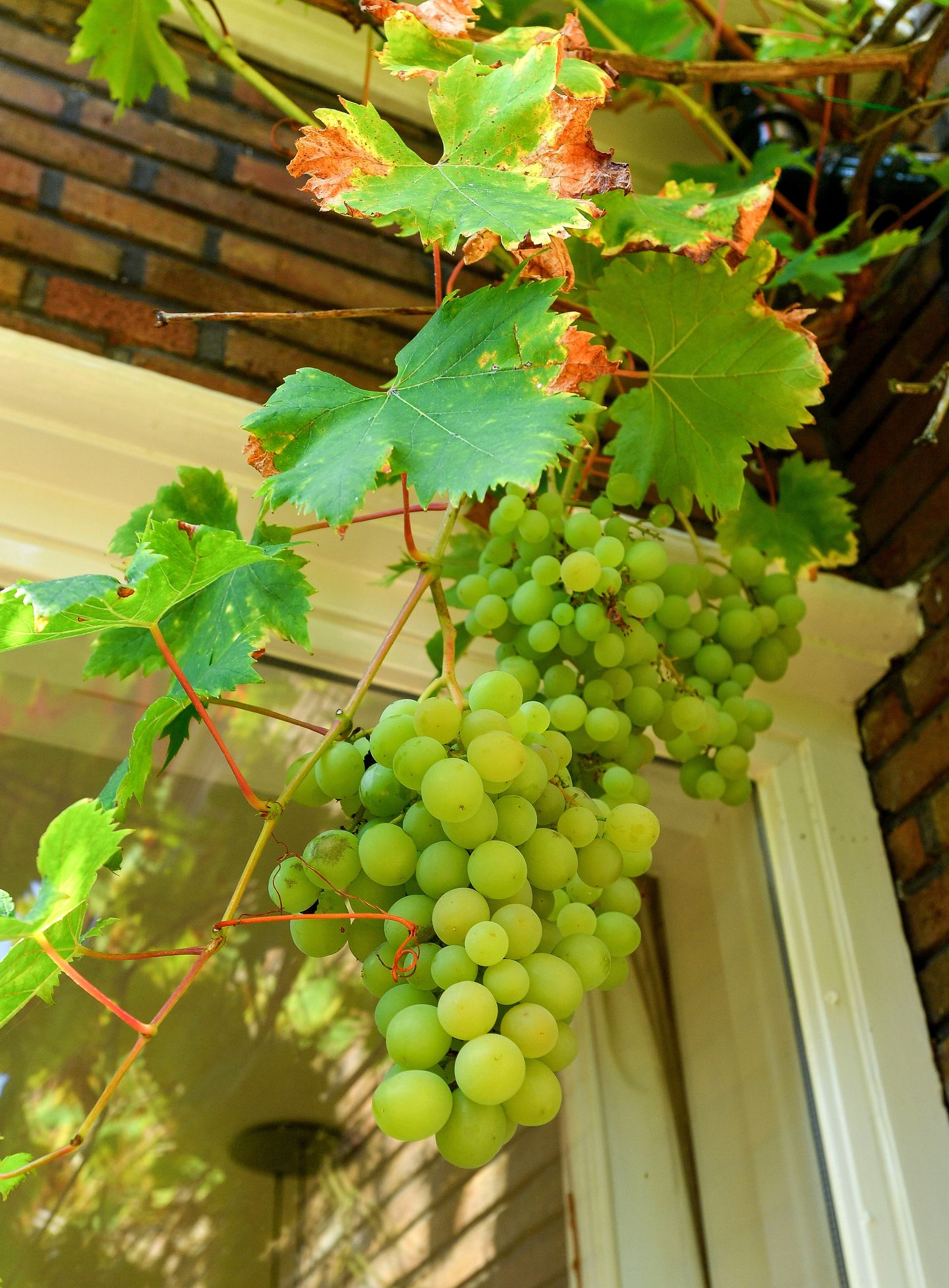 Foto 40 van Van Heemstralaan 96