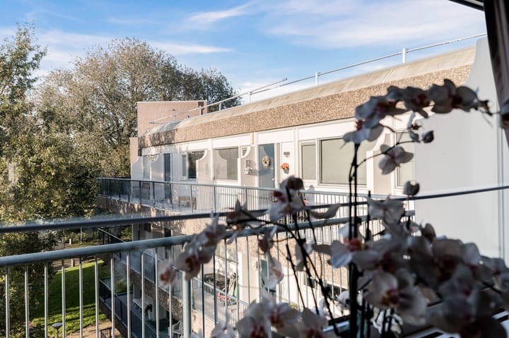 Foto 35 van Ravenwerf 51