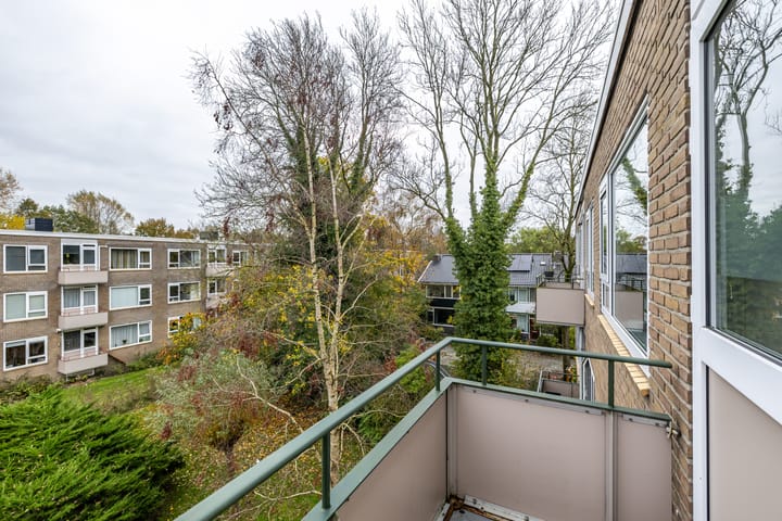 Foto 10 van Strausslaan 40