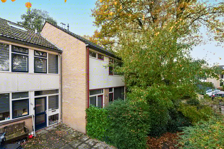 Foto 1 van van Hamelstraat 54