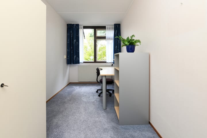 Foto 12 van van Hamelstraat 54