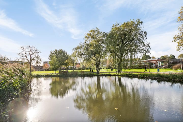 Foto 29 van Lemelerberg 114