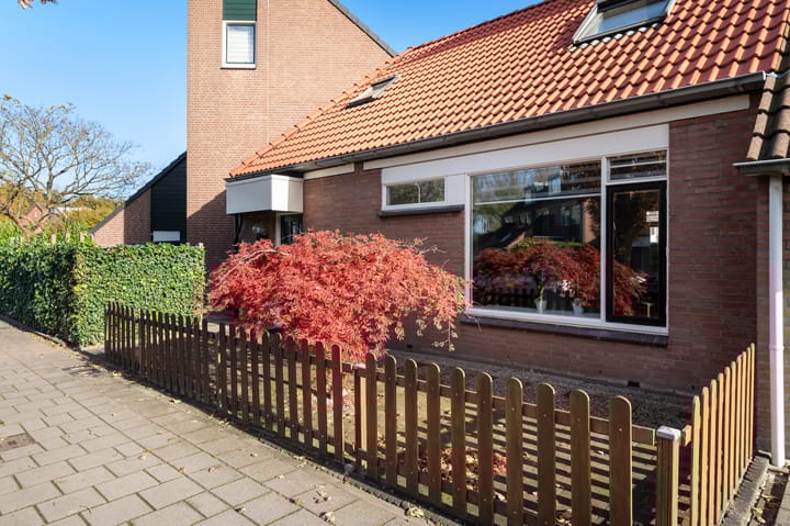 Foto 2 van Kroonkruid 10