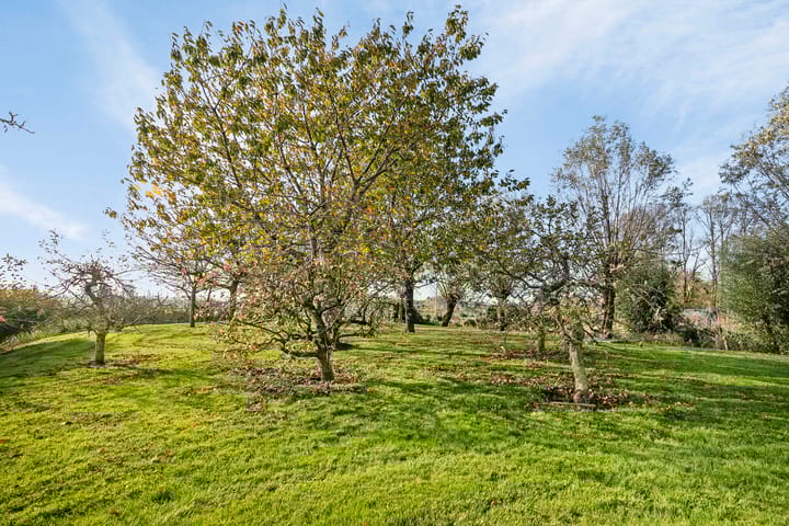 Foto 31 van Regattaweg 156