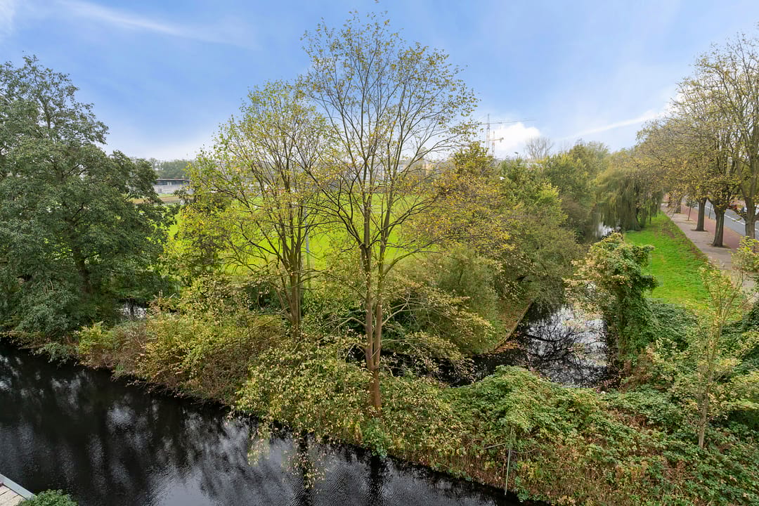 Foto 32 van Dedemsvaartweg 251