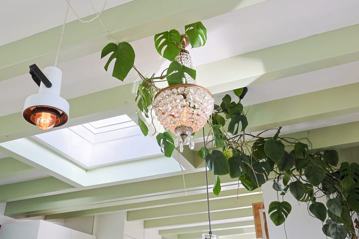 Foto 14 van Middel 155