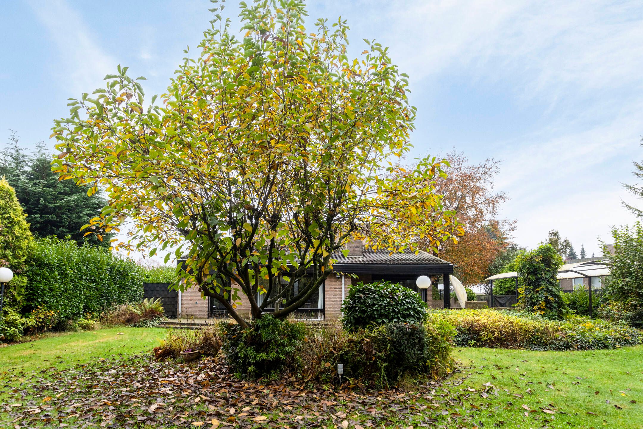 Foto 45 van Stoffels 319