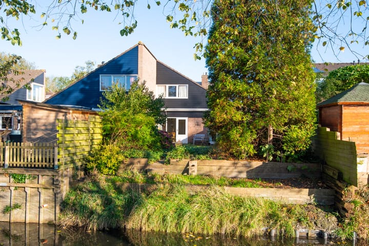 Foto 3 van Schout 60