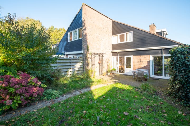 Foto 30 van Schout 60