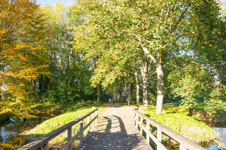 Foto 31 van Schout 60