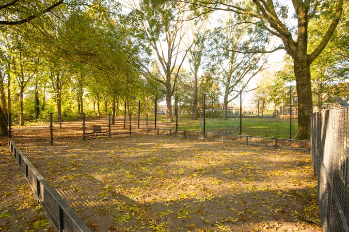 Foto 32 van Schout 60