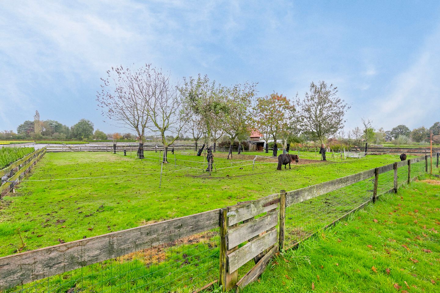 Foto 20 van Ooster Oenerweg 1