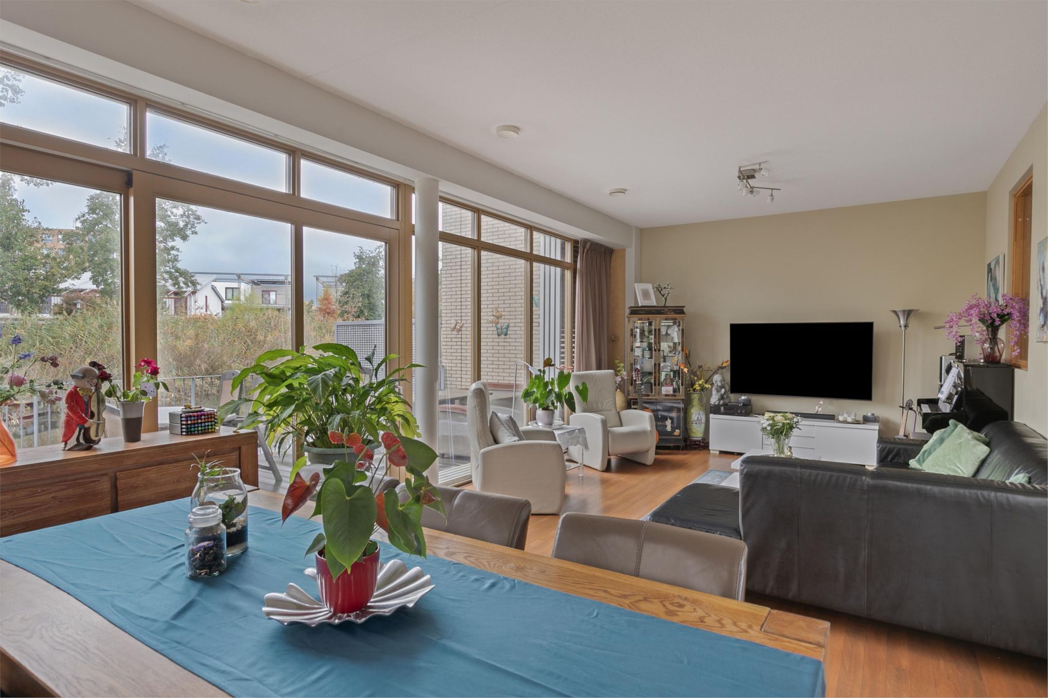 Photo 6 of Orinocostroom 19