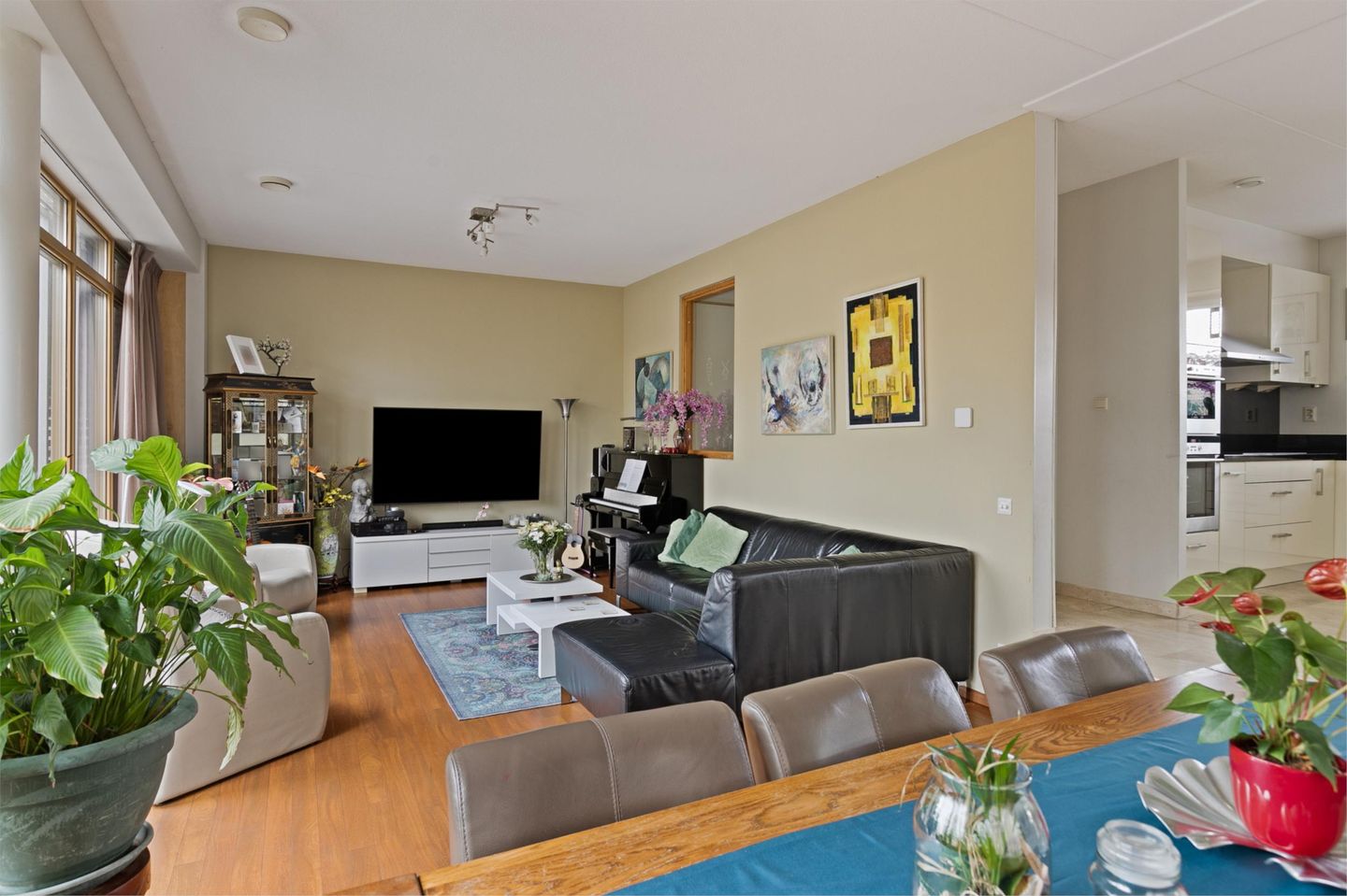 Photo 10 of Orinocostroom 19