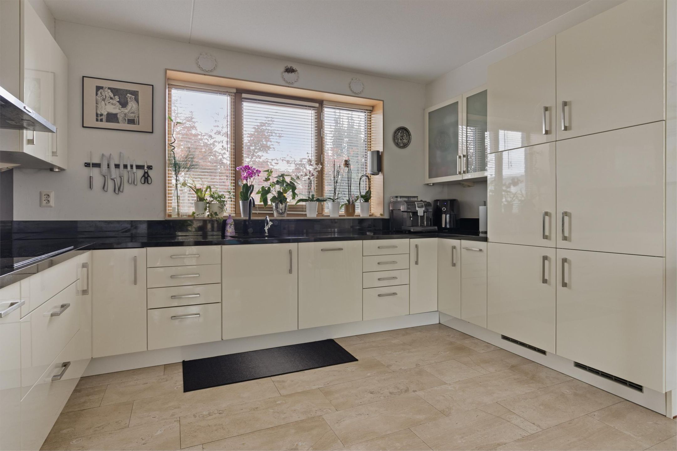 Photo 15 of Orinocostroom 19