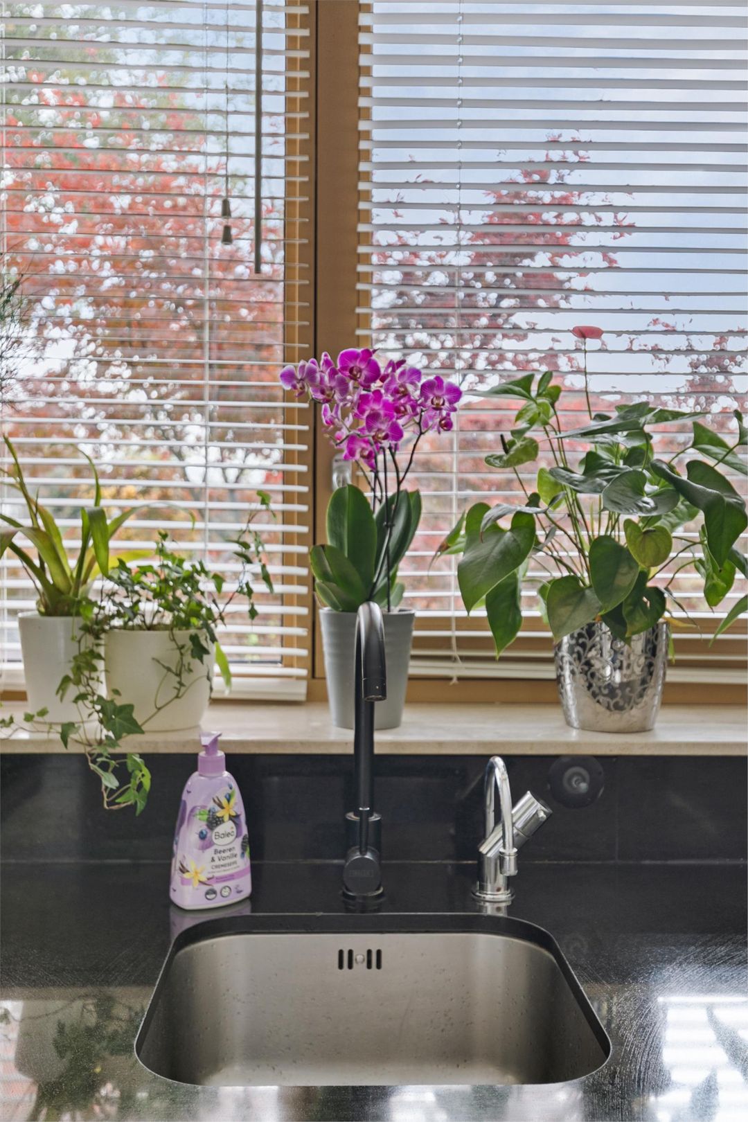 Photo 16 of Orinocostroom 19