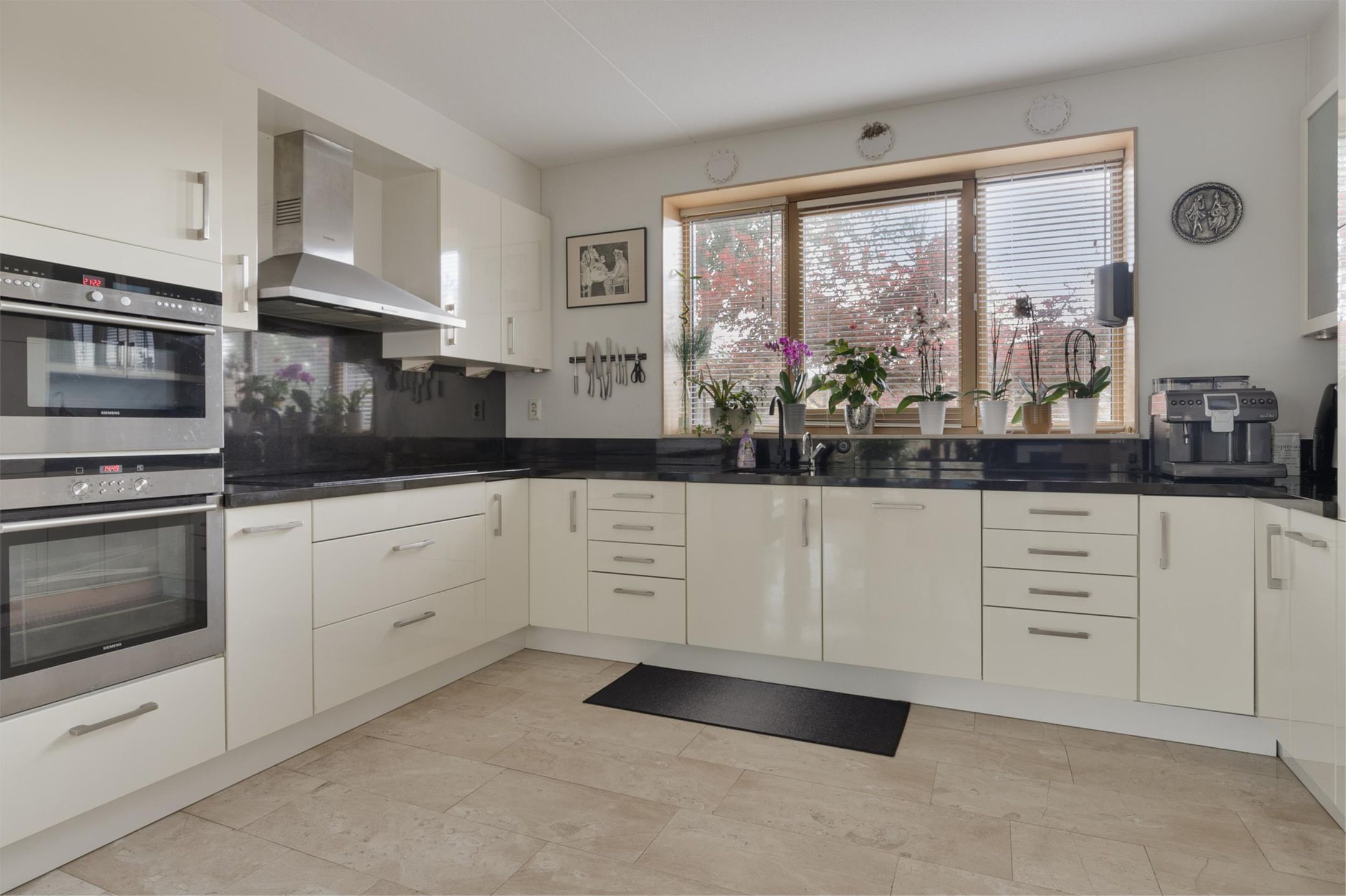 Photo 18 of Orinocostroom 19