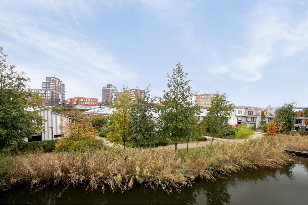 Photo 37 of Orinocostroom 19