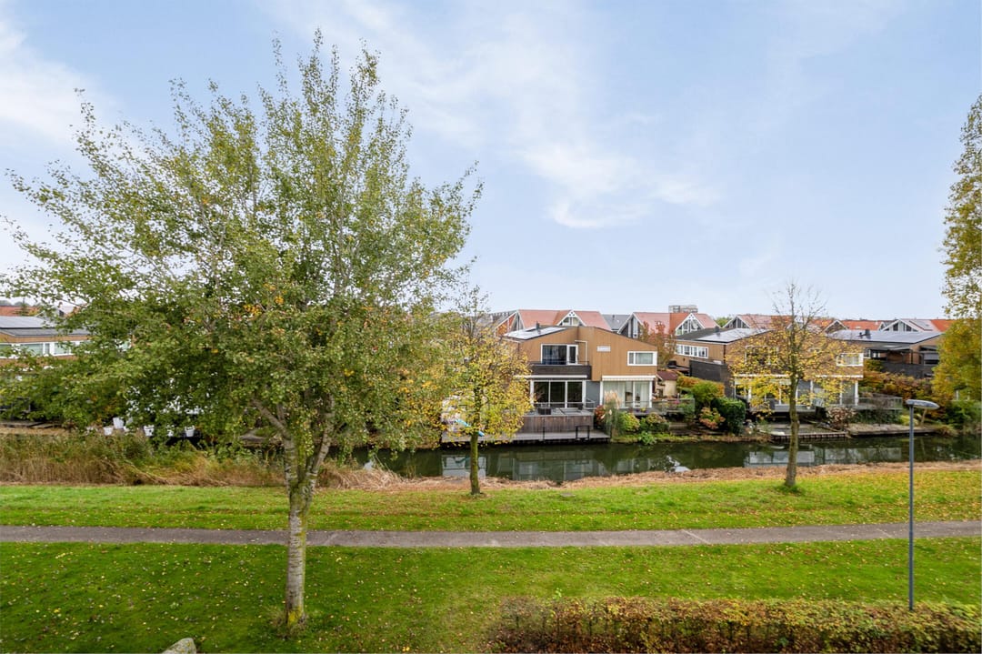 Photo 38 of Orinocostroom 19