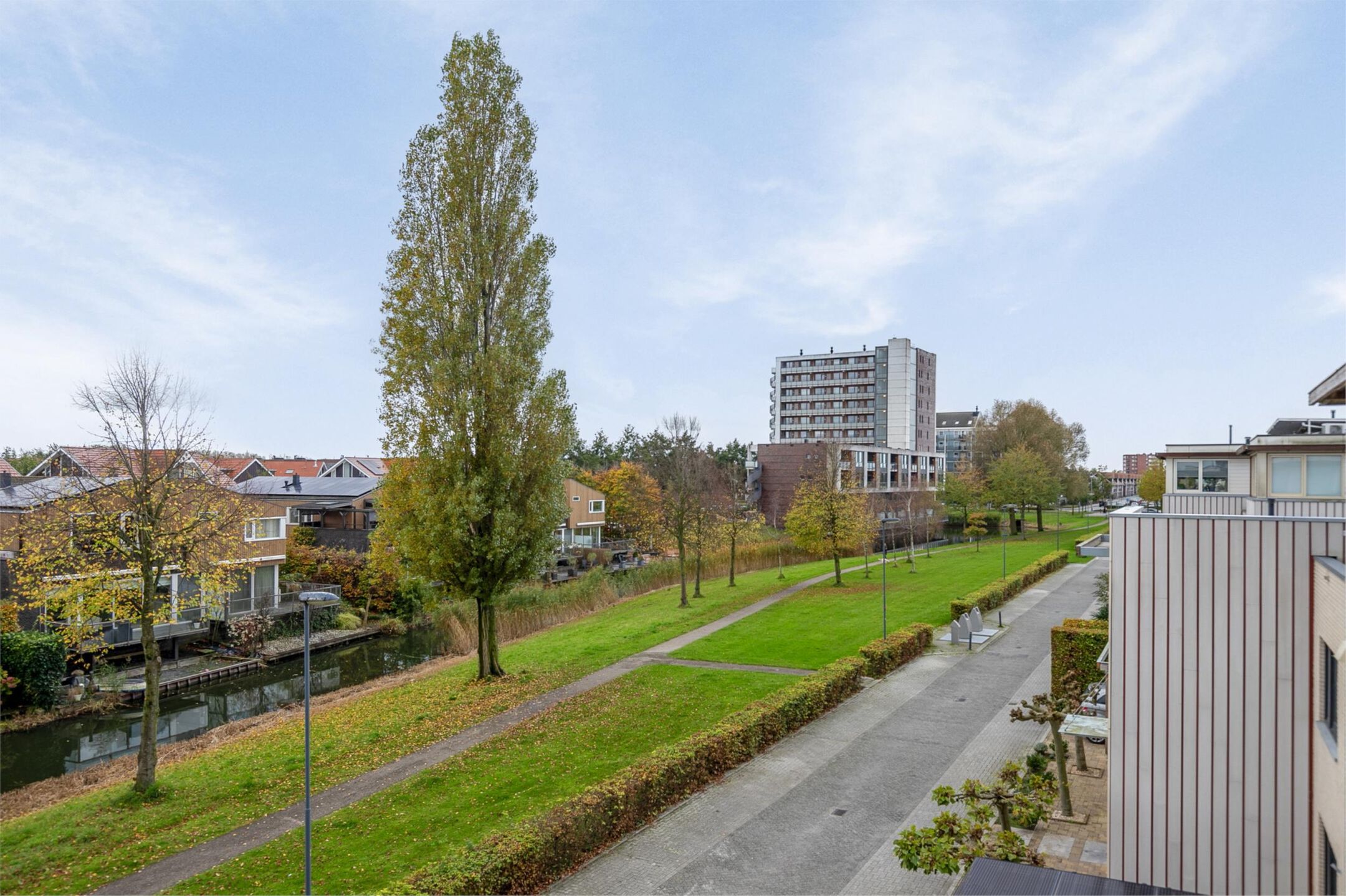 Photo 39 of Orinocostroom 19