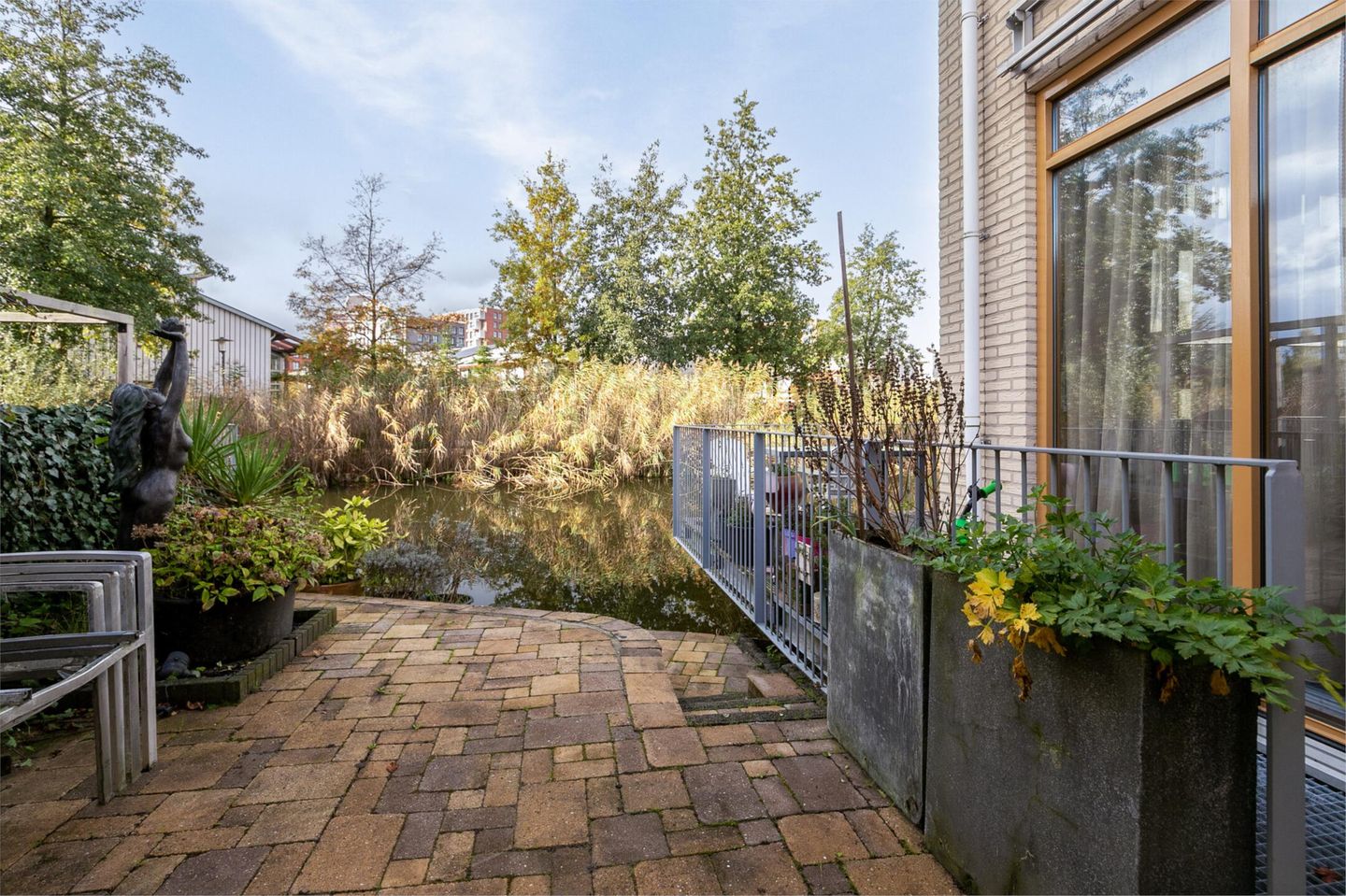 Photo 40 of Orinocostroom 19