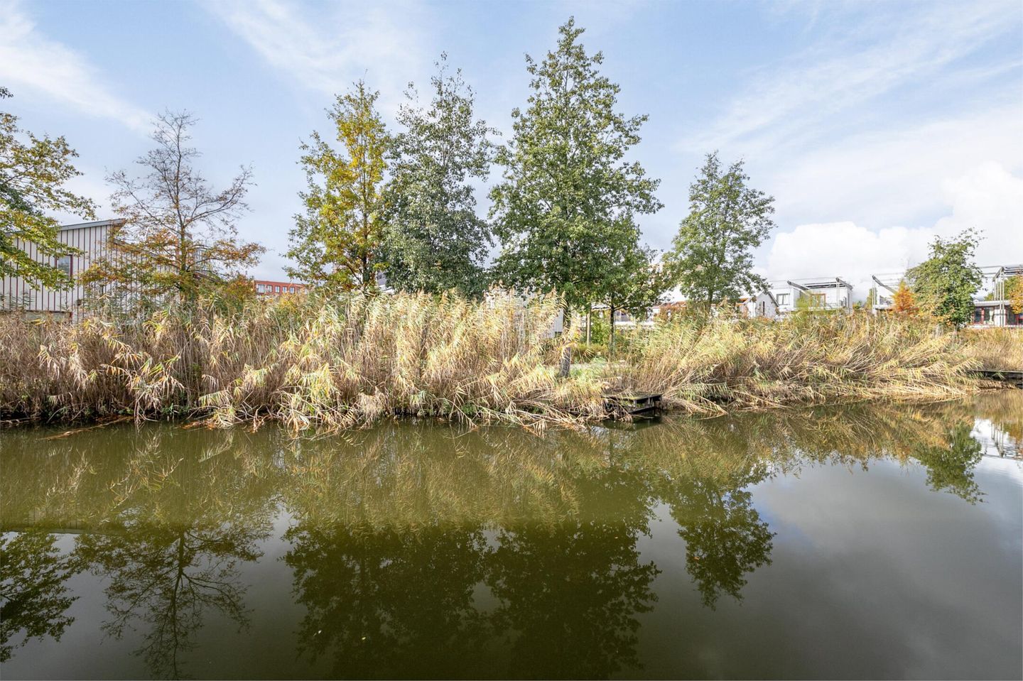 Photo 44 of Orinocostroom 19