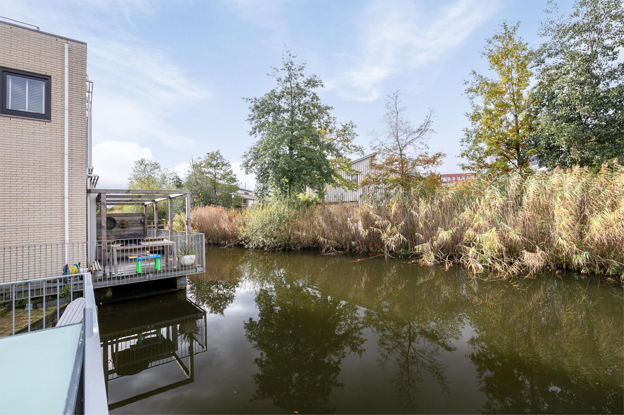 Photo 45 of Orinocostroom 19