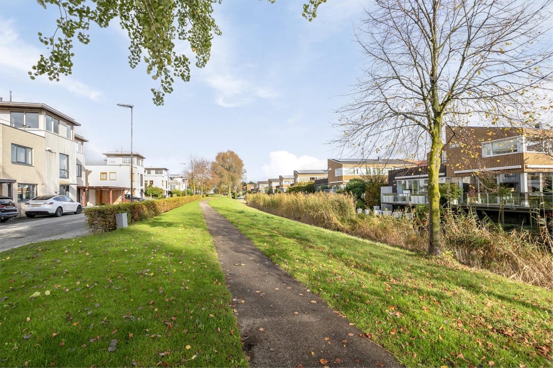 Photo 46 of Orinocostroom 19