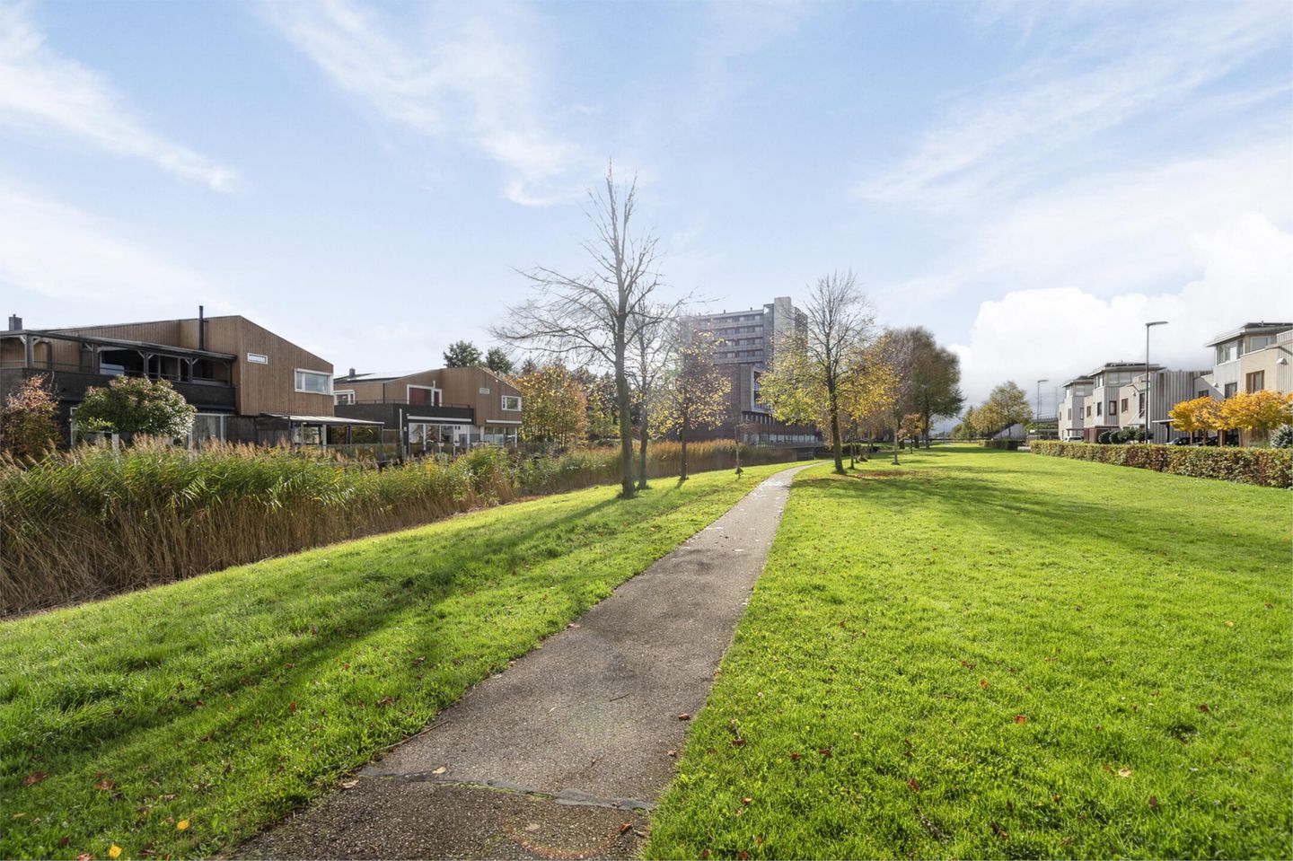 Photo 49 of Orinocostroom 19