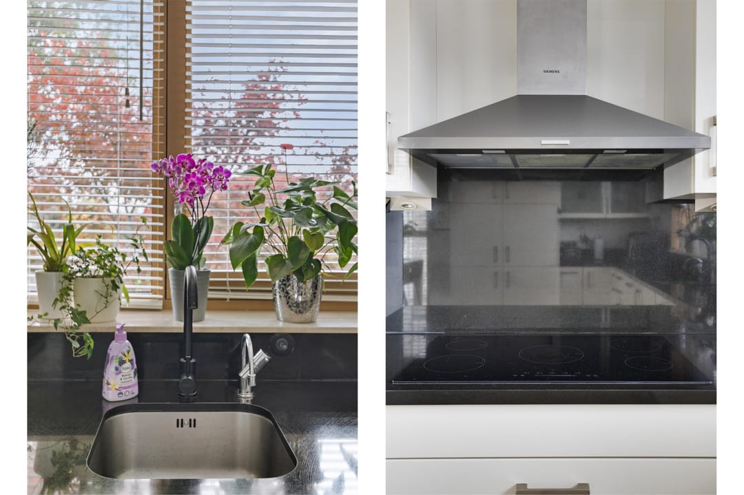 Photo 52 of Orinocostroom 19