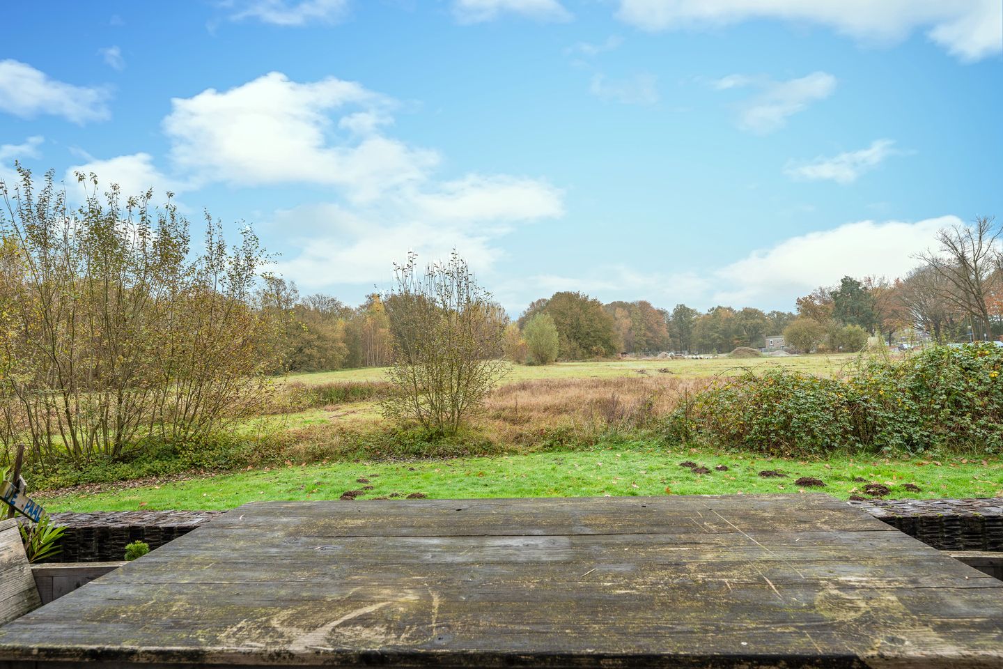 Foto 4 van Bosleeuwerik 34