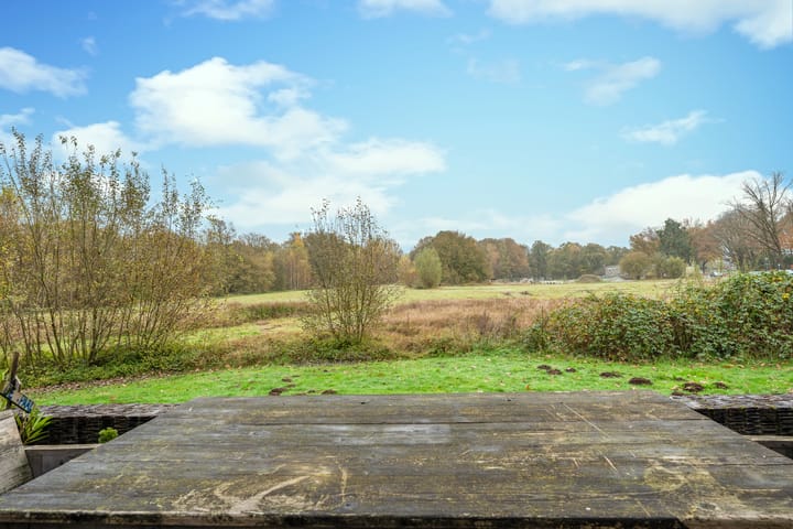 Foto 4 van Bosleeuwerik 34