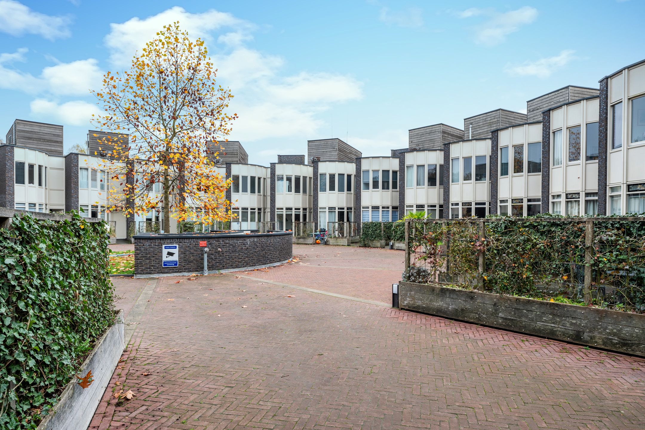 Foto 6 van Bosleeuwerik 34