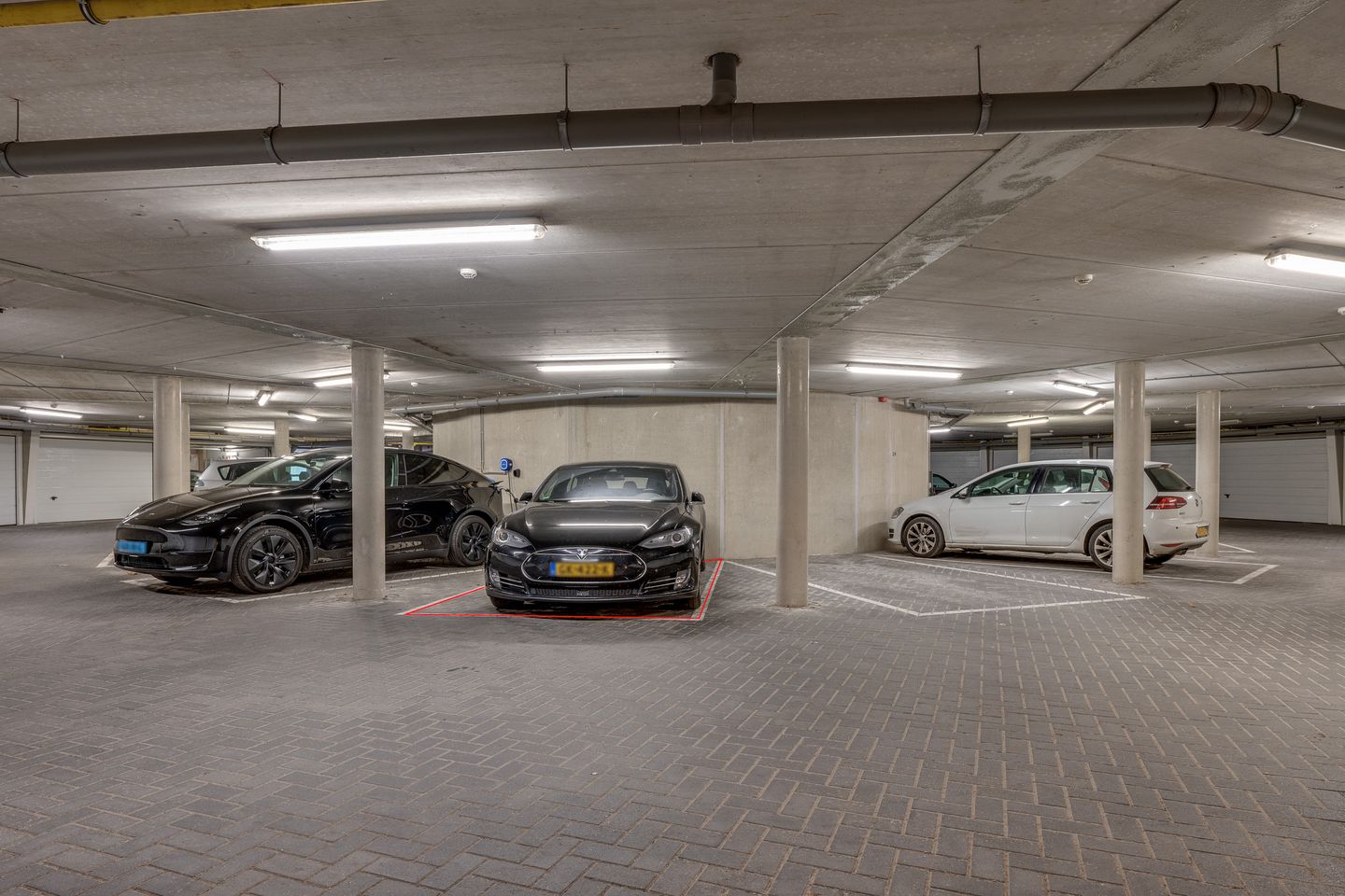 Foto 29 van Bosleeuwerik 34