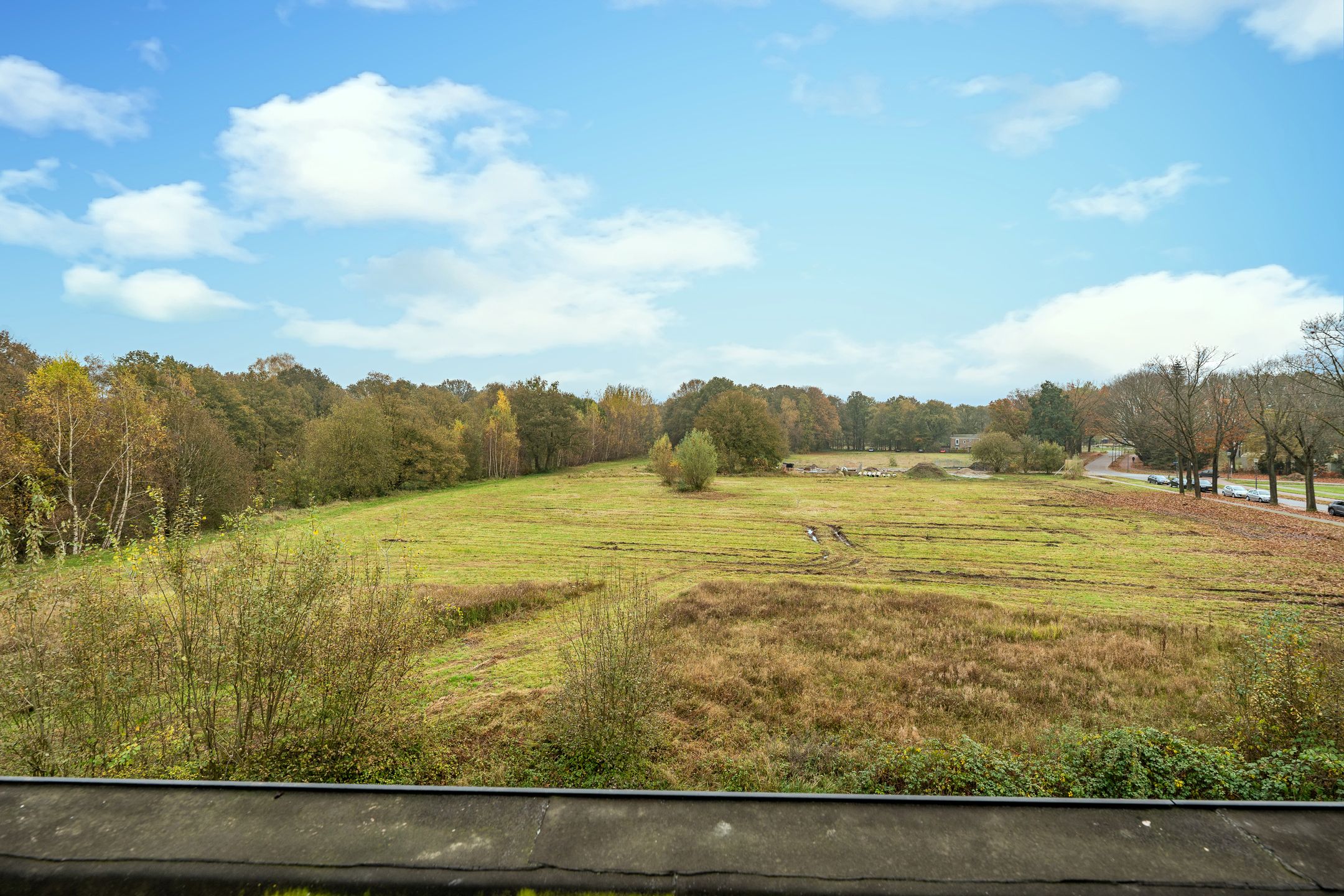 Foto 33 van Bosleeuwerik 34