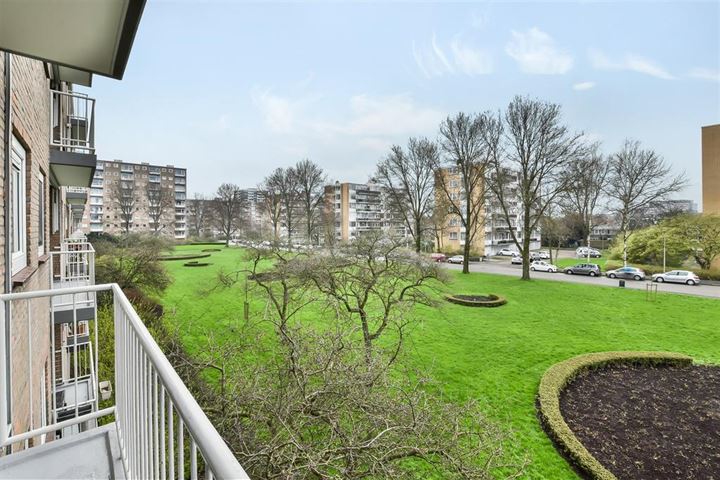 View photo 9 of Bijdorp 29