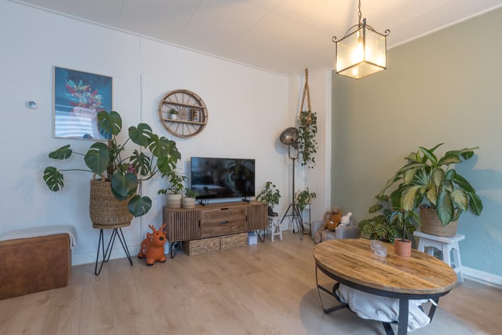 Foto 12 van Rosmolenstraat 20-A