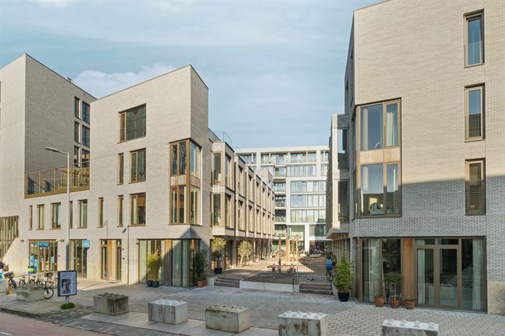 Bekijk foto 47 van Kartonstraat 3