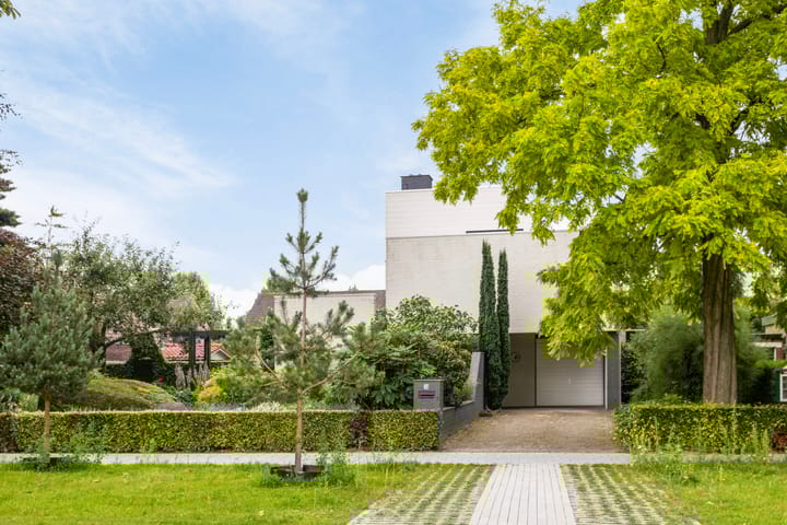 Photo 50 of Sint Servatiusstraat 34