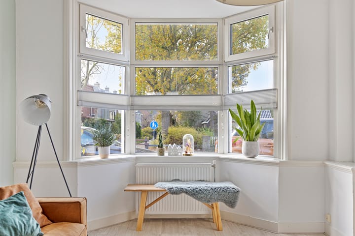 Foto 10 van Hoge Rijndijk 77