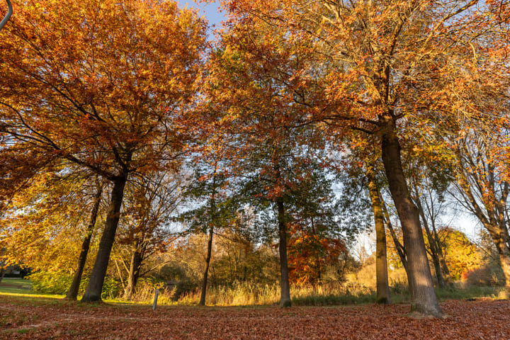 Foto 3 van Rabatstraat 17