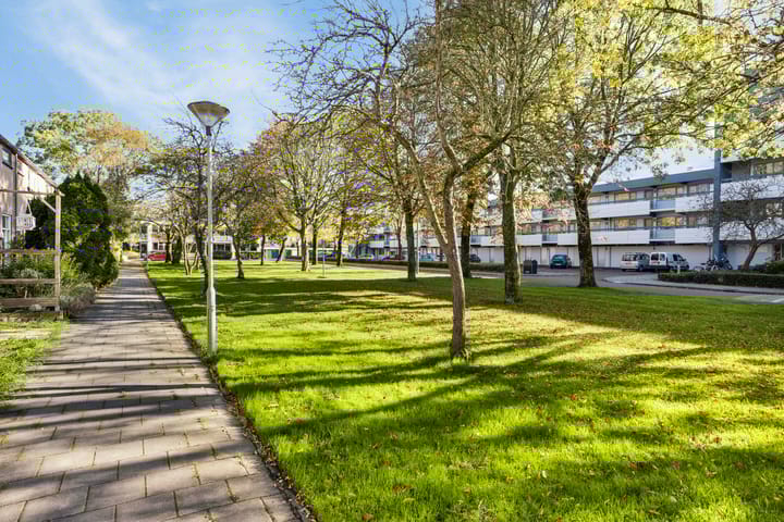 Foto 5 van Haringvlietstraat 29