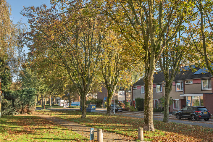 Bekijk foto 28 van Karel van de Woestijnestraat 4